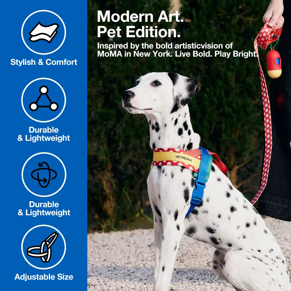 VETRESKA Moma Dog Harness and Leash Set - Adjustable No-Pull Harness for Small to Medium Dogs with Anti-Twist Leash for Walking and Training