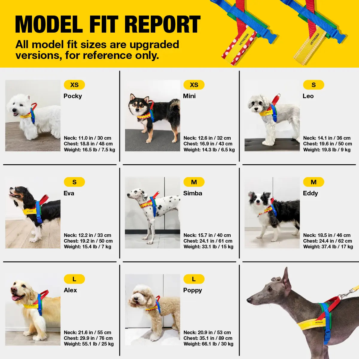 VETRESKA Moma Dog Harness and Leash Set - Adjustable No-Pull Harness for Small to Medium Dogs with Anti-Twist Leash for Walking and Training