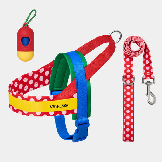VETRESKA Moma Dog Harness and Leash Set - Adjustable No-Pull Harness for Small to Medium Dogs with Anti-Twist Leash for Walking and Training