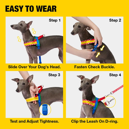 VETRESKA Moma Dog Harness and Leash Set - Adjustable No-Pull Harness for Small to Medium Dogs with Anti-Twist Leash for Walking and Training