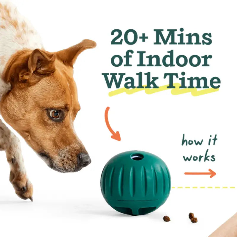 Woof Walkabout - Enrichment Dog Toys Puzzle and Treat Dispenser - Adjustable Difficulty for Kibble and Treats - Durable Rubber - Easy to Clean